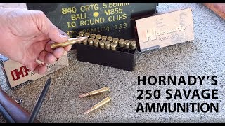 Hornadys New Loading for the 250 Savage Tested in a Vintage Savage Model 99 [upl. by Anny]