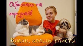 Обработка кошек и собак от блох клещей и глистов НЕКСГАРДСПЕКТРА БРОДЛАЙН СпотОн [upl. by Devonna771]