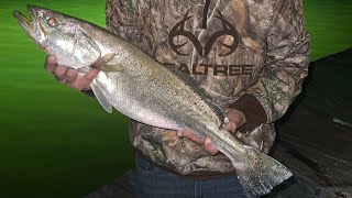 Fishing in Arroyo City TX PB 27 inch Trout caught [upl. by Seessel]