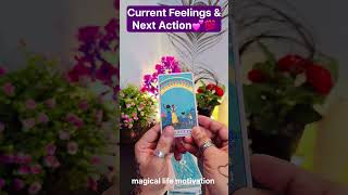 ❤️TAROT CARD READING TODAY❤️CURRENT FEELINGS OF YOUR PERSON🧿 tarot viral shorts [upl. by Yenial]