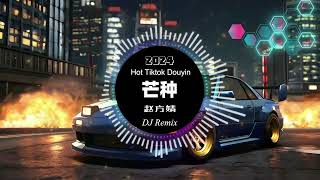 赵方婧  芒种 remix chinese dj 2024 抖音热搜版  最新最火dj抖音版2024  🎶【抖音热门歌曲】抖音 Hot Tiktok Douyin  芒种 DJ Remix [upl. by Burrus]