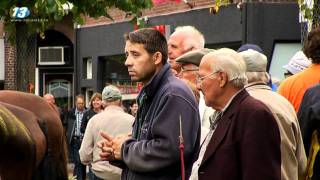 Gedrogeerde ponys op de markt [upl. by Bohrer]