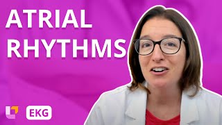 Atrial Rhythms  EKG Interpretation  LevelUpRN [upl. by Delamare809]