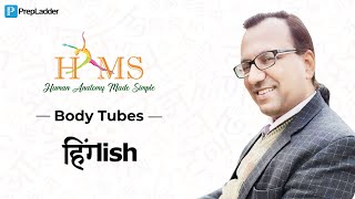 Body Tubes Anatomy Discussion Dr Rajesh K Kaushal [upl. by Purdum329]