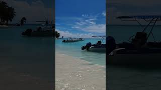 🇩🇴 Saona Island Dominican Rep 🌴beach saonaisland saona shorts playa travel summer [upl. by Haridan]