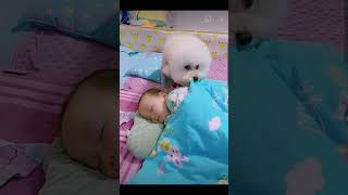 🐕🐕❤️❤️Most heartwarming amp touching Cute Dog Takes Care Of Cute Baby😘😘 [upl. by Macy]