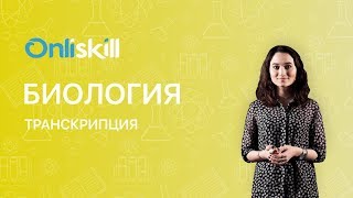 Биология 10 класс  Транскрипция [upl. by Atiram]