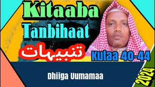 Dhiiga Uumamaa Shekh Shaafii Muhammad tanb4044 2024 [upl. by Mab174]