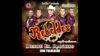 Los Nuevos Rebeldes  Anillo Grabado Desde El Rancho Con Tololoche 2013 [upl. by Kravits]