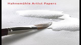 Hahnemuhle 140lb rough paper test [upl. by Inanuah]