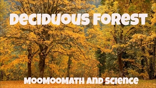 Temperate Deciduous ForestWorld Biomes [upl. by Nussbaum]