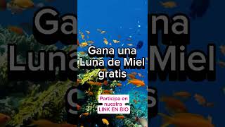 Recuerda que en bodas com mx puedes ganar una LUNA DE MIEL GRATIS Visita nuestra LINK EN BIO 🥳🕺💃 [upl. by Berri]