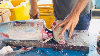 CUTTING FISHCUTTING FISH SKILLSCUTTING FISH VIDEO [upl. by Kepner131]