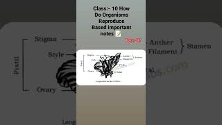 Class 10 How do organisms reproduce based important notes 📝 for all students part 07 [upl. by Castara]