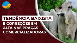 Boi gordo tendência baixista e correções em alta nas praças comercializadoras [upl. by Aika]