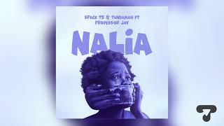 Spack amp Tundaman ft Professor Jay  NALIA Official Music Audio [upl. by Eilyac]