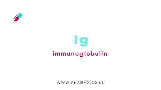 Ig  Immunoglobulin  Pronunciation [upl. by Gaw]