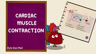 Cardiac Muscle Contraction  Excitation Contraction Coupling  Cardiac Physiology [upl. by Silrac]