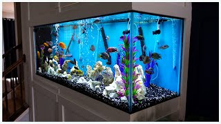 210 Gallon Aquarium Wall Build What We Can Learn From It [upl. by Volkan]