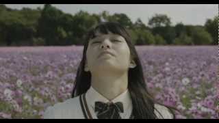 PMWF55 4K60p sample movie [upl. by Eulalie]