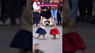 Rat ❤️💖shortvideos comedy funny sapot [upl. by Eijneb]