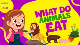 Animals and the Food They Eat  Omnivore  Carnivore  Herbivore  Science Lessons What Animals Eat [upl. by Lilybelle30]