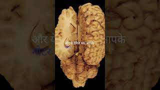 Brocas Area आपकी आवाज़ का रहस्य 🗣️🤯  Voice Of Psych psychology shorts hindi [upl. by Ardaid295]