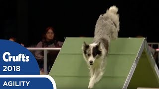 Agility  International Invitation  Large Agility Finals  Crufts 2018 [upl. by Davida]