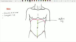 Anterior Abdominal Wall  1 Extent Layers Skin [upl. by Vinn]