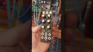 tiptop audio z5000 dsp eurorack module [upl. by Aniela]