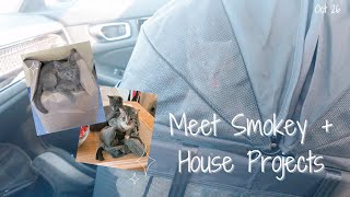 Meet Smokey  House Projects [upl. by Rosina]