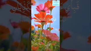 Sorat Rehman with english translation islamiceducation quran [upl. by Luehrmann]