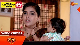 Thaali  Weekly Recap 01 Jan  07 Jan 2024 Gemini TV  Telugu Serial [upl. by Allrud]