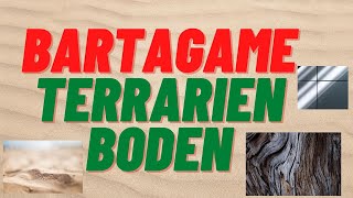 Bartagame Terrarium RICHTIGEN Bodengrund  Substrat wählen amp Terrarienboden bauen [upl. by Neisa244]