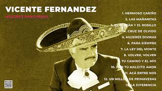 Vicente Fernández Grandes Exitos Top Hits 2023 [upl. by Cirtap754]