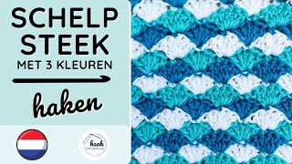 Schelpsteek Haken met 3 Kleuren  Leuke Steek voor een Babydeken haakinformatie haaksteek haken [upl. by Weywadt231]