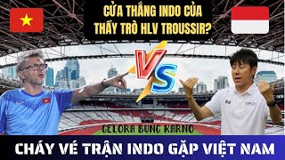 Cháy vé trận Indo gặp Việt Nam  So sánh khát khao chiến thắng của HLV Troussier và Shin Tae Young [upl. by Jazmin]