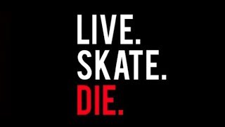 LIVESKATEDIE Hangout [upl. by Onia529]