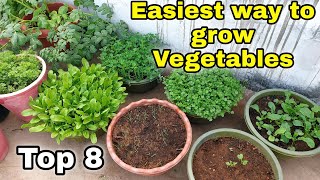 Easiest way to grow Top 8 Vegetables at HomeGarden  Small space gardening CC [upl. by Atirb]