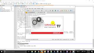 Install Oracle 11gr2 in Linux 7 x Step by step by Le Anh [upl. by Notrub]