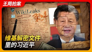 维基解密文件里的习近平｜阿桑奇｜李克强｜李源潮｜新疆｜西藏｜314事件｜75事件｜王局拍案20240703 [upl. by Irovi]