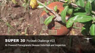 Pomegranate Disease Detection and Inspection with AIPowered PicStork [upl. by Edholm713]