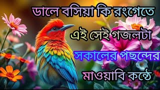 ডালে বসিয়া কি রংগেতে এই সেই গজলটা সকলের পছন্দের মায়াবি কন্ঠে bangla gozol ♥️♥️♥️♥️♥️♥️ [upl. by Ioves164]