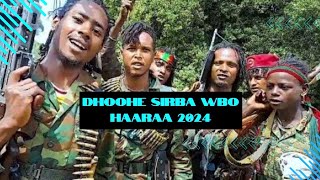 Sirba WBO haaraa DHOOHE 2024 [upl. by Columbyne]