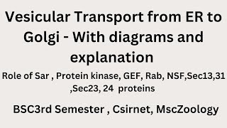 Vesicular transport from ER to Golgi  Bsc3rd Semester msczoology csirnet cell biology [upl. by Ivor]