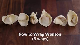 How to Wrap Wonton common 6 ways [upl. by Kendrah]