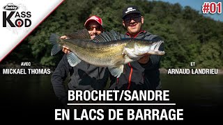 🎣La pêche du brochet et du sandre au leurre en lac de barrage [upl. by Spillar]