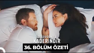 Doğduğun Ev Kaderindir 36 Bölüm Özeti [upl. by Suedaht]