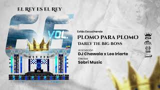 Plomo Para Plomo  Darly The Big Boss Ft Rey de Rocha Vol66 [upl. by Benia592]