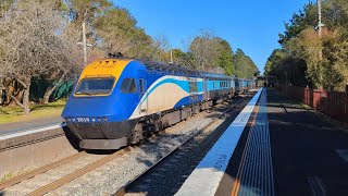 Sydney to Melbourne by Train FULL JOURNEY [upl. by Alidia]